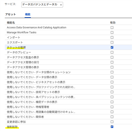 HOW TO: 2024.11 リリース以降の CDGC でユーザーに特権管理者権限を