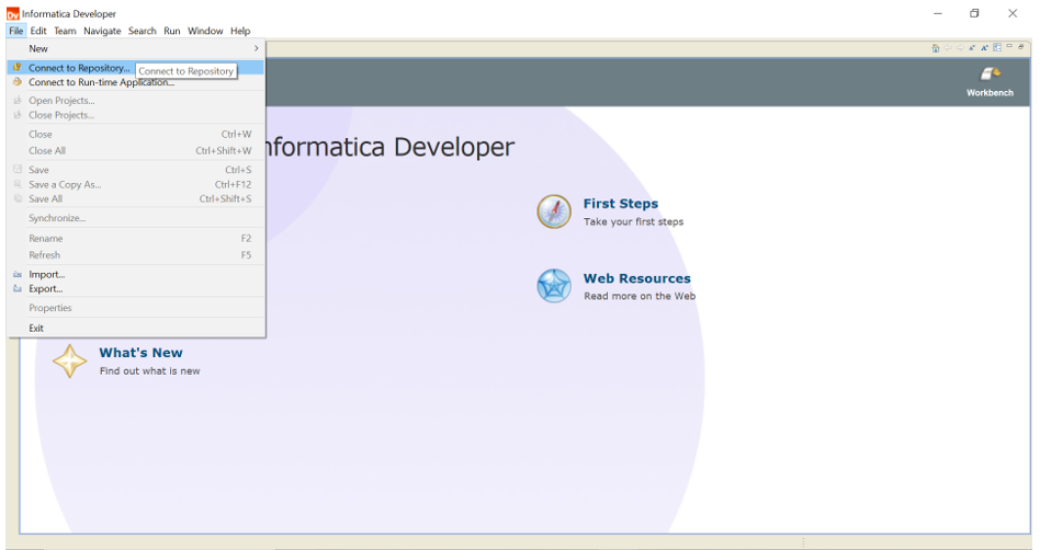 HOW TO: Connect to Model Repository Service from Developer Client